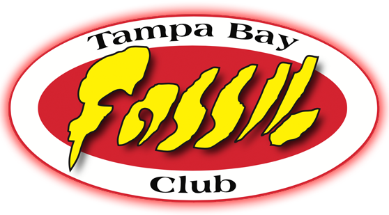 TBFC Logo