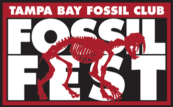 FossilFest Logo